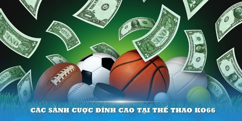 Các sảnh cược đỉnh cao tại thể thao KO66