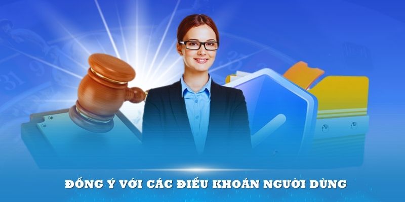 Đồng ý với các điều khoản người dùng trước khi sử dụng